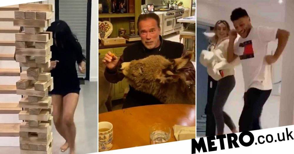 Arnold Schwarzenegger - Olly Murs - Rochelle Humes - Wes Nelson - From Cardi B running into jenga to Arnold Schwarzenegger hanging with his donkey – the bizzare things celebs are doing while self-isolating - metro.co.uk