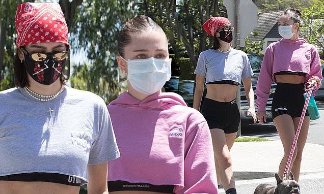 Lisa Rinna - Delilah and Amelia Hamlin wear crop tops and tight shorts along with face masks to walk dog in LA - dailymail.co.uk