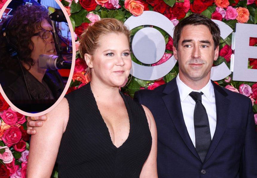 Amy Schumer - Howard Stern - Amy Schumer Gets Real About Her Post-Baby Sex Life & Big Parenting Screwup! - perezhilton.com