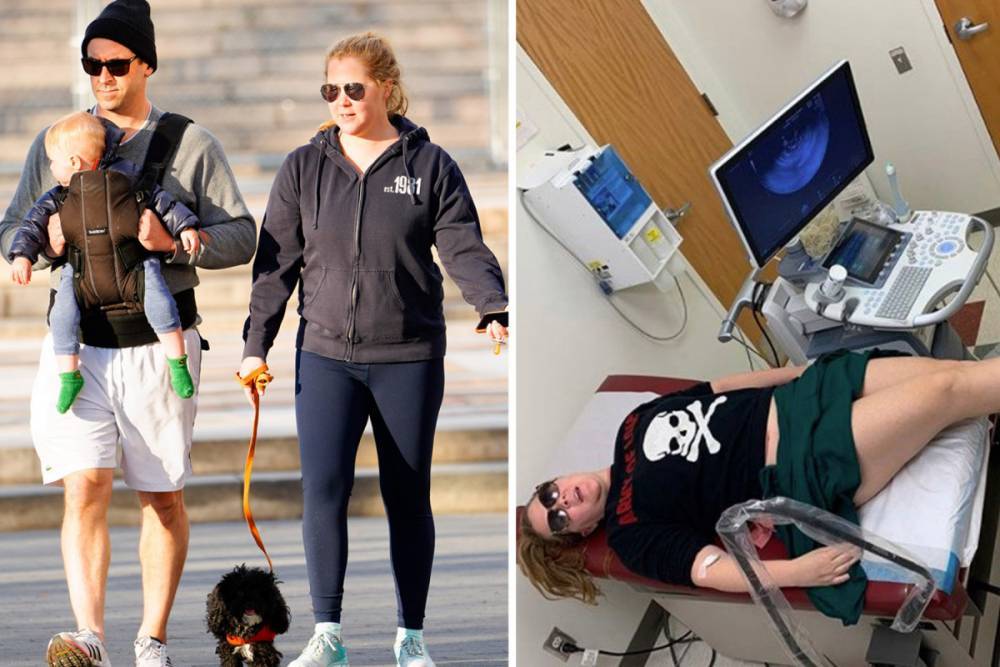Amy Schumer - Chris Fischer - Howard Stern - Amy Schumer says IVF plans are on hold during coronavirus but shares she has ‘good sex’ with hubby ‘once a week’ - thesun.co.uk