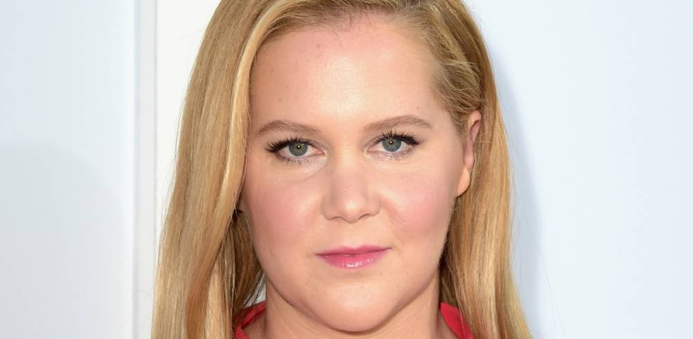 Chris Fischer - Howard Stern - Amy Schumer Provides Update on Possible Second Child After Undergoing IVF - justjared.com