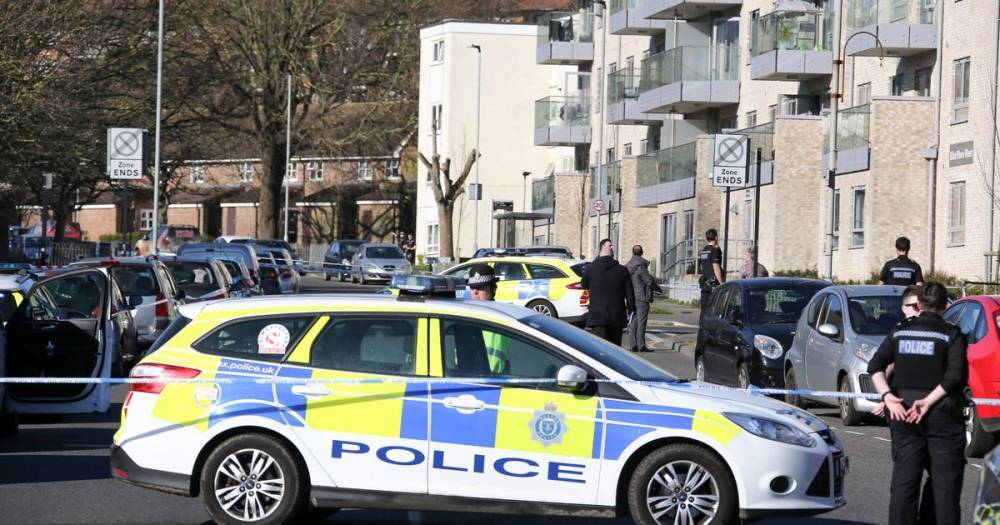Man in his 20s 'hacked to death with machete' in Brighton – 4 arrested - dailystar.co.uk - county Sussex - city Brighton