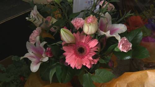 Kendra Slugoski - Edmonton-area flower shops grow sales during COVID isolation - globalnews.ca