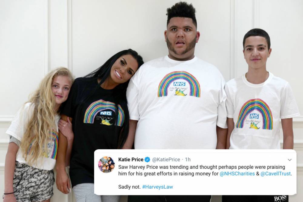 Katie Price - Harvey Price - Katie Price expresses her sadness after disabled son Harvey is abused by sick trolls on Twitter - thesun.co.uk