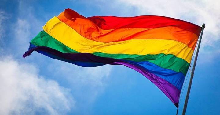 ‘Finding light:’ High school gay-straight alliances go virtual amid coronavirus - globalnews.ca
