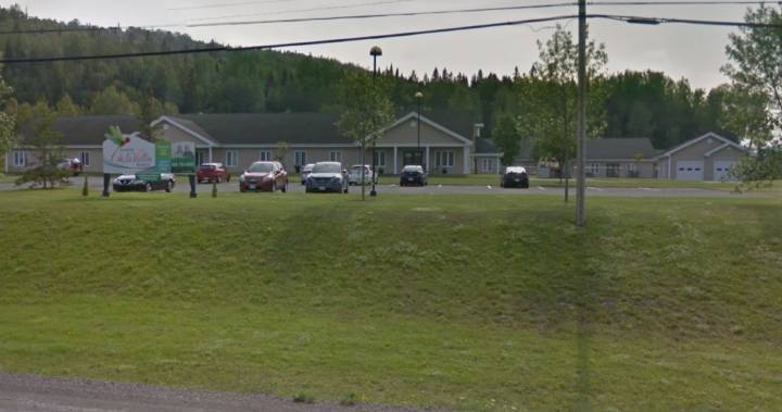 Blaine Higgs - Dorothy Shephard - N.B. minister says some long-term care workers have quit, director disputes claims - globalnews.ca
