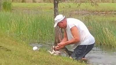 Charles - Florida man, 74, details rescuing his puppy from jaws of alligator - clickorlando.com - state Florida
