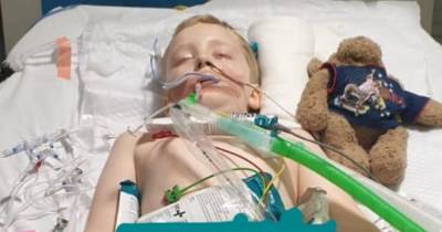 Scots schoolboy left fighting for life in coma after suffering Kawasaki-like disease linked to Covid - dailyrecord.co.uk - Scotland - county Livingston