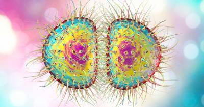 Health Organisation - Mutant drug-resistant 'super gonorrhoea' strain could make STI untreatable - dailystar.co.uk