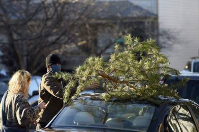 'Charlie Brown' Christmas trees lift school, spirits - clickorlando.com - New York - state Virginia - Richmond, state Virginia