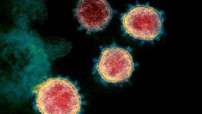 Hans Kluge - New strain of coronavirus detected in 8 European countries - livemint.com - Switzerland