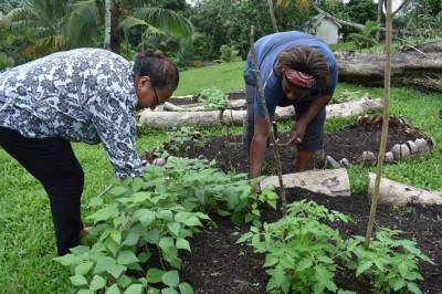 Amid pandemic, Pacific islands work to offset food shortages - clickorlando.com - Fiji - city Jakarta