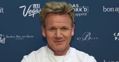 Gordon Ramsay - Gordon Ramsay panics his sleeping cat has died while playing with young son - dailyrecord.co.uk
