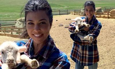 Kourtney Kardashian - Kourtney Kardashian cuddles a baby farm animal as she poses on the open range - dailymail.co.uk - state Wyoming