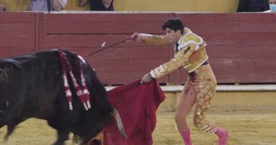 Matadors defy coronavirus warning to host first bullfight in Spain since lockdown - mirror.co.uk - Spain - city Madrid, Spain