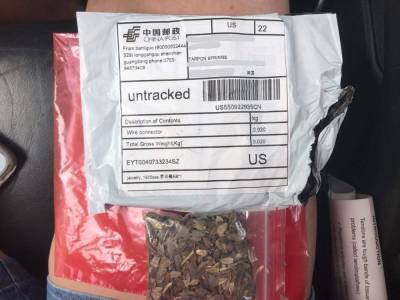 Maitland woman receives ‘mystery seeds’ in mail, USDA warns not to plant them - clickorlando.com - state Florida - Uzbekistan