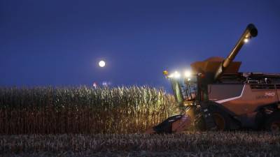 Joe Raedle - Michigan hunter, 14, killed when run over by corn harvester - fox29.com - state Iowa - state Michigan - county Baxter