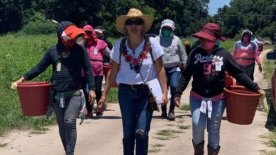 ’I have empathy with these people:’ Central Florida woman honored for helping migrant farm workers - clickorlando.com - Britain - state Florida - county Orange - county Osceola - county Hillsborough - county Polk - county Highland
