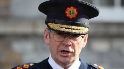 Warning over 'authoritarian' policing response to large gatherings - rte.ie - Ireland