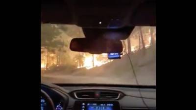Harrowing video shows woman escaping California wildfire in Sierra National Forest - fox29.com - state California - county Forest - county Sierra