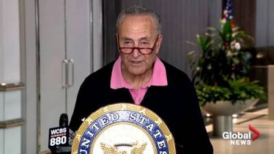 Chuck Schumer - Schumer urges TSA to come up with holiday contingency plan following 40% unvaccinated workforce rate - globalnews.ca - New York