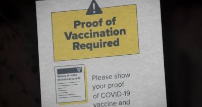 Christine Elliott - Ontario youth can use photocopy or digital version of ID when showing proof of vaccination - globalnews.ca - Canada