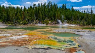Woman burned chasing dog into scalding hot spring at Yellowstone National Park - fox29.com - county Park - county Hot Spring - county Yellowstone