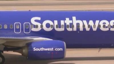 Southwest employee hospitalized after being assaulted by passenger at Dallas Love Field - fox29.com - county Love - county Dallas