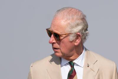 Prince Charles Shares Update On The Queen’s Health, Jokes ‘Once You Get To 95, It’s Not Quite As Easy As It Used To Be’ - etcanada.com - Jordan - city Sandringham - Egypt