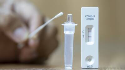 Plans for cheaper Covid antigen tests being finalised - rte.ie - Ireland