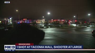 At least 1 person injured in Tacoma Mall shooting - fox29.com - state Washington