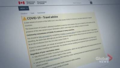 Anne Gaviola - COVID-19: How the Omicron variant could impact your travel plans - globalnews.ca