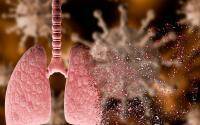 Lung tissue study sheds light on fast Omicron spread - cidrap.umn.edu - South Korea - Britain - Hong Kong - county Delta