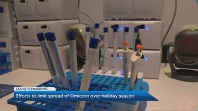Marianne Dimain - Efforts to limit spread of Omicron over holiday season in Ontario - globalnews.ca - county Ontario