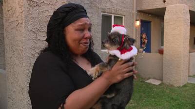 Arizona woman reunited with dog that was found in California desert after 2 years - fox29.com - state California - state Arizona - city Santa