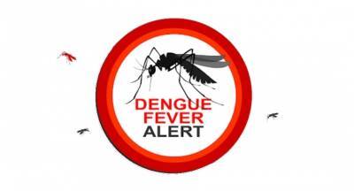 Sharp increase in Dengue cases; majority in WP - newsfirst.lk