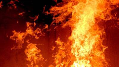 Man, 2 children killed in Christmas Day fire in Quakertown - fox29.com - state Pennsylvania