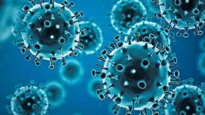 Omicron coronavirus variant linked with high risk of reinfection: Study - livemint.com - India - South Africa