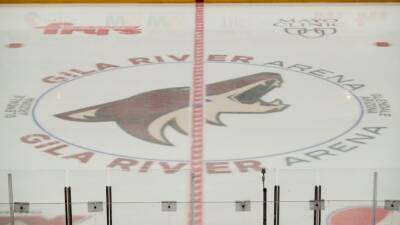 Arizona Coyotes pay $1.4 million in back taxes after threat of being locked out of Gila River Arena - fox29.com - state Arizona - city Chicago