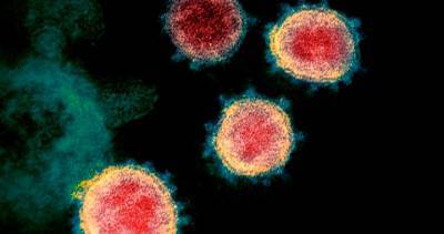 Fraser Health - Coronavirus: 56 new cases, 3 deaths for Interior Health, Big White cluster stabilizing - globalnews.ca - region Health