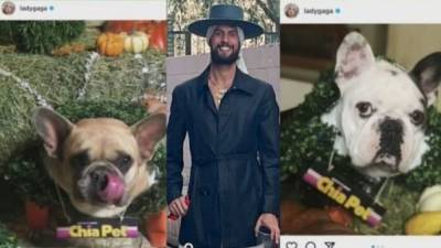 Lady Gaga's dog walker Ryan Fischer speaks out for first time since shooting - fox29.com - Los Angeles - city Hollywood