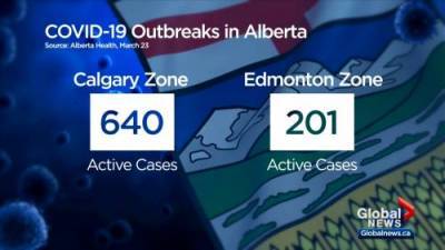 Lauren Pullen - COVID-19 cases spike in the Calgary zone - globalnews.ca