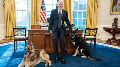 Joe Biden - Jill Biden - President Biden's dog Major gets professional training following biting incidents - fox29.com - Germany - Washington - city Washington