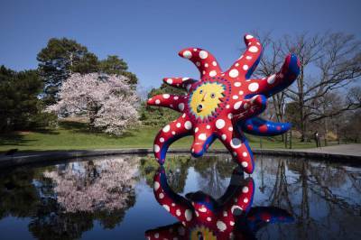 Artist gives nature a `cosmic' twist in big NY garden show - clickorlando.com - New York - Japan - county Garden - county Bronx