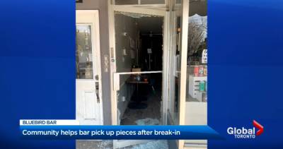 Community rallies to support Toronto bar owner after break-in - globalnews.ca - Canada