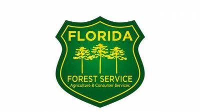 Florida Forest Service handling brush fire in Melbourne - clickorlando.com - state Florida - city Melbourne