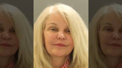 Hockessin woman charged with felony theft after neighbor's therapy dog goes missing, police say - fox29.com - county New Castle