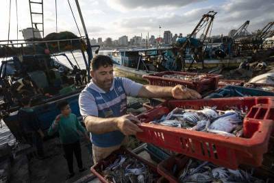 Gaza fishermen take to water again after cease-fire - clickorlando.com - Israel - Egypt - city Gaza
