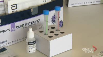 Brittany Rosen - Clarington man advocates for COVID-19 rapid testing for local businesses - globalnews.ca
