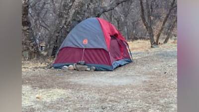Missing Utah woman found living in tent after disappearing from campsite in November - fox29.com - Spain - state Utah - county Canyon
